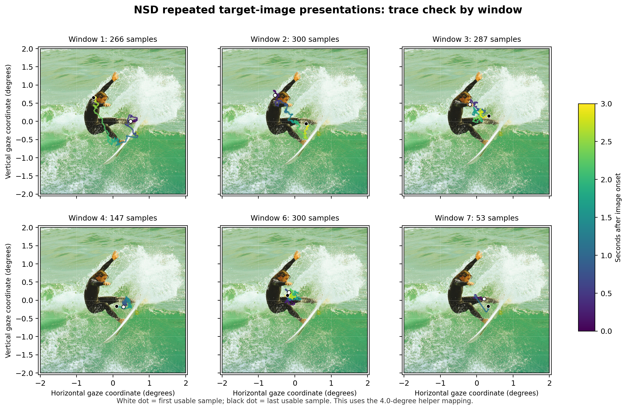 NSD eye-tracking movement over repeated image presentations