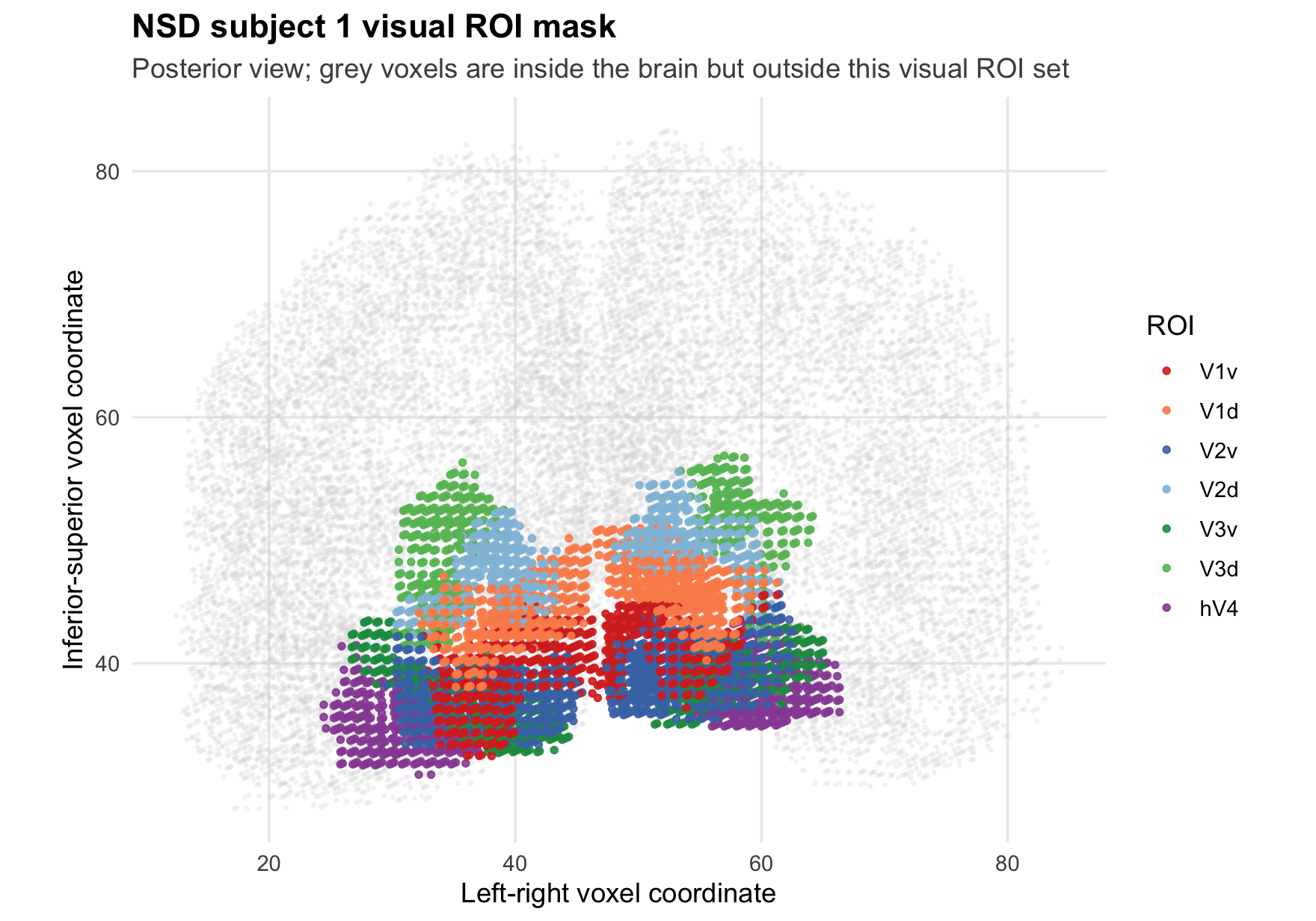 Posterior view of NSD visual ROI mask
